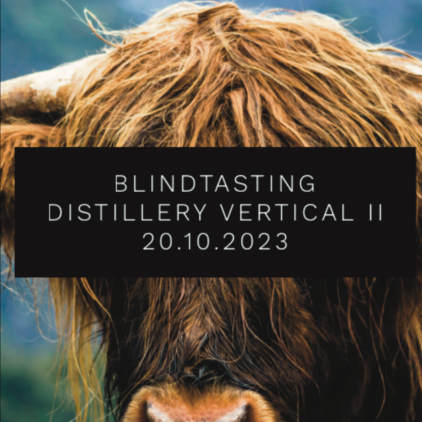 Onlinetasting - Distillery Vertical Blindtasting (We talk Malts 20.10.2023)