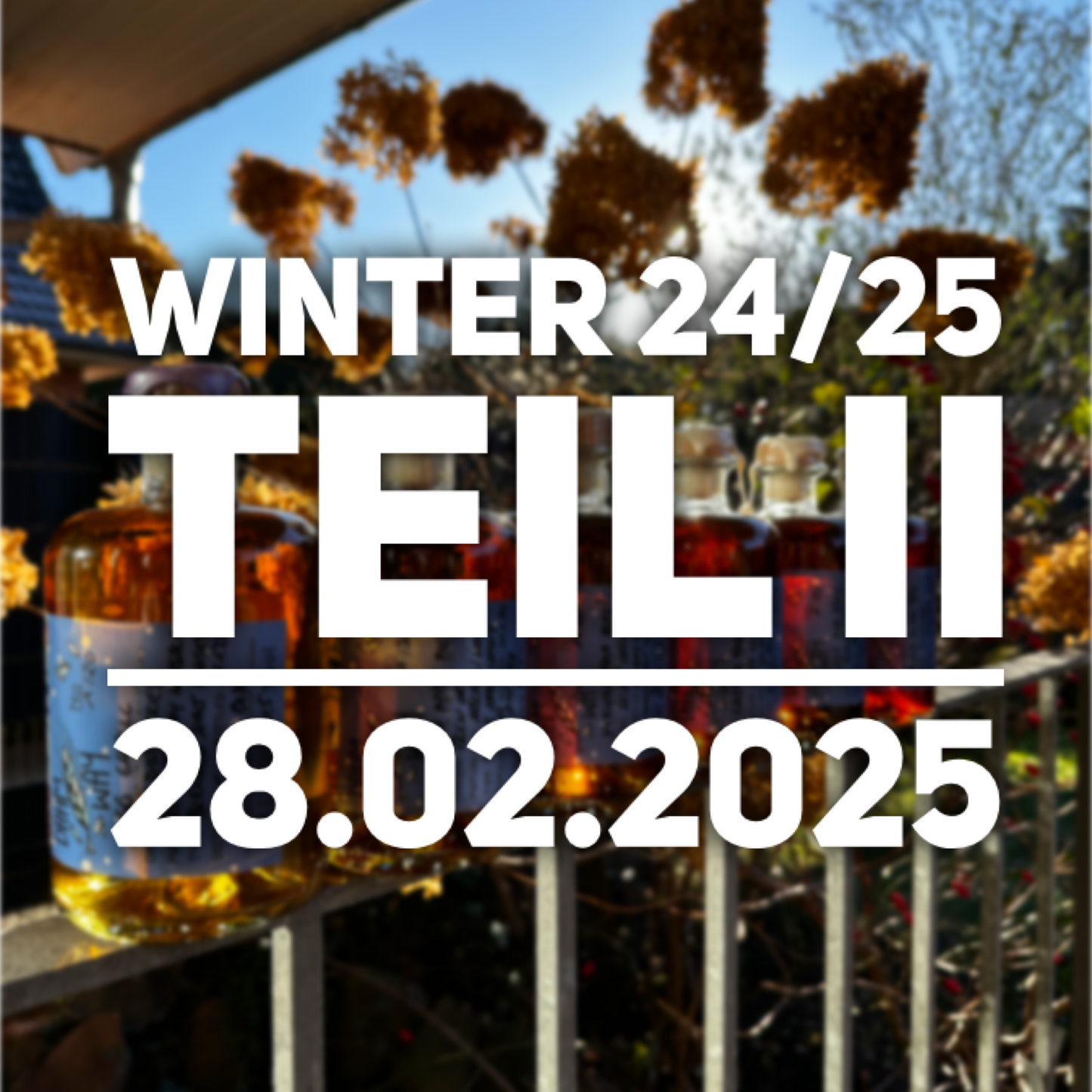 Onlinetasting - Winter 24/25 Teil 2 (28.2.2025)